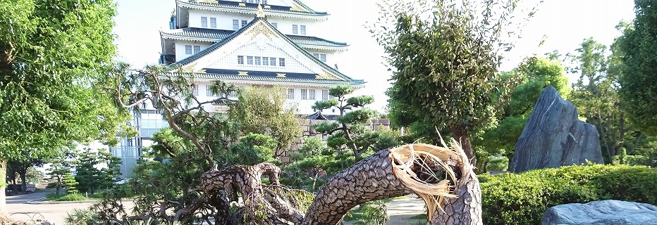 台風直撃後の大阪城